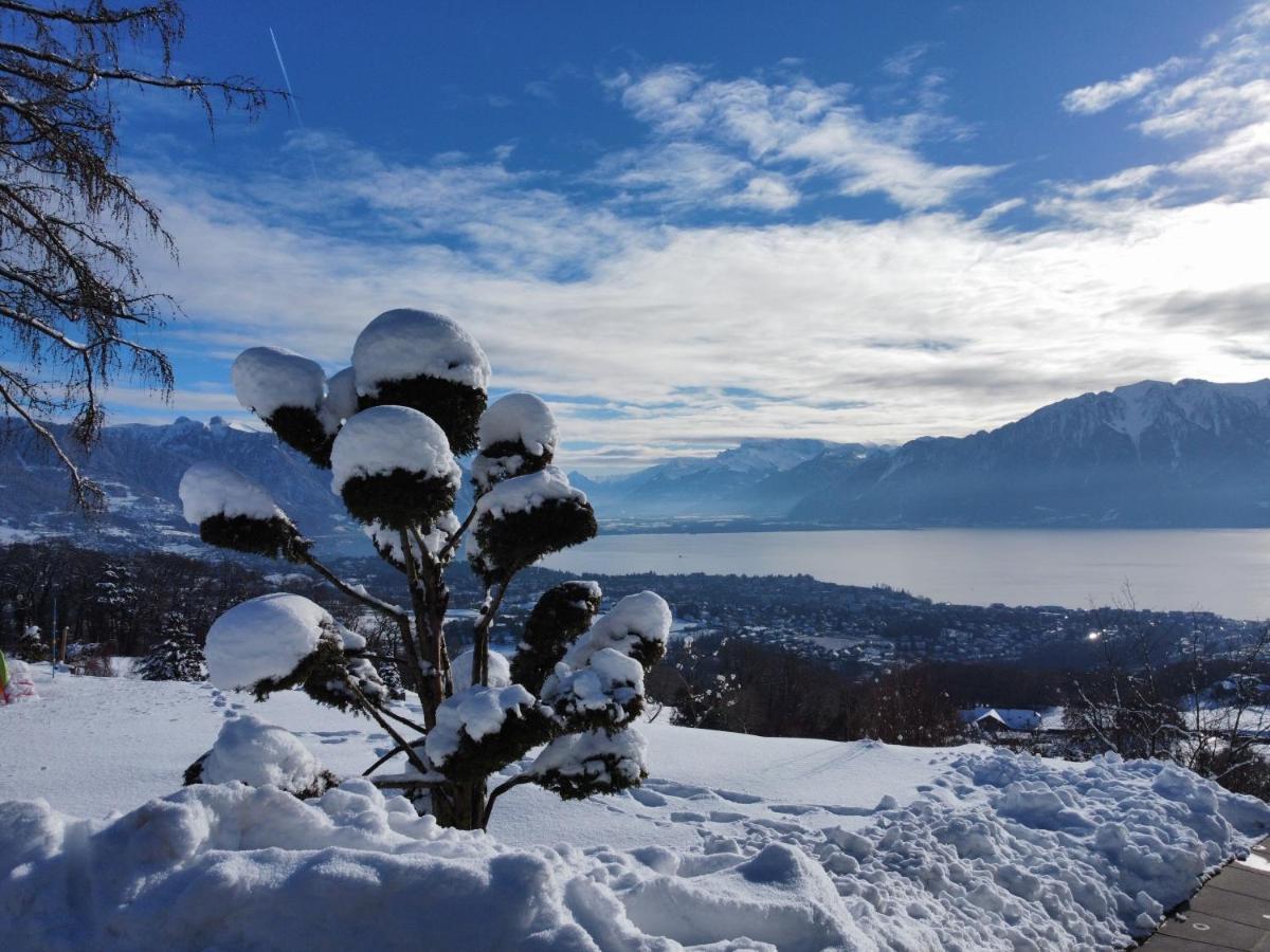 Appartement Moderne Avec Vue Panoramique A Jongny Proche De Montreux Eksteriør bilde