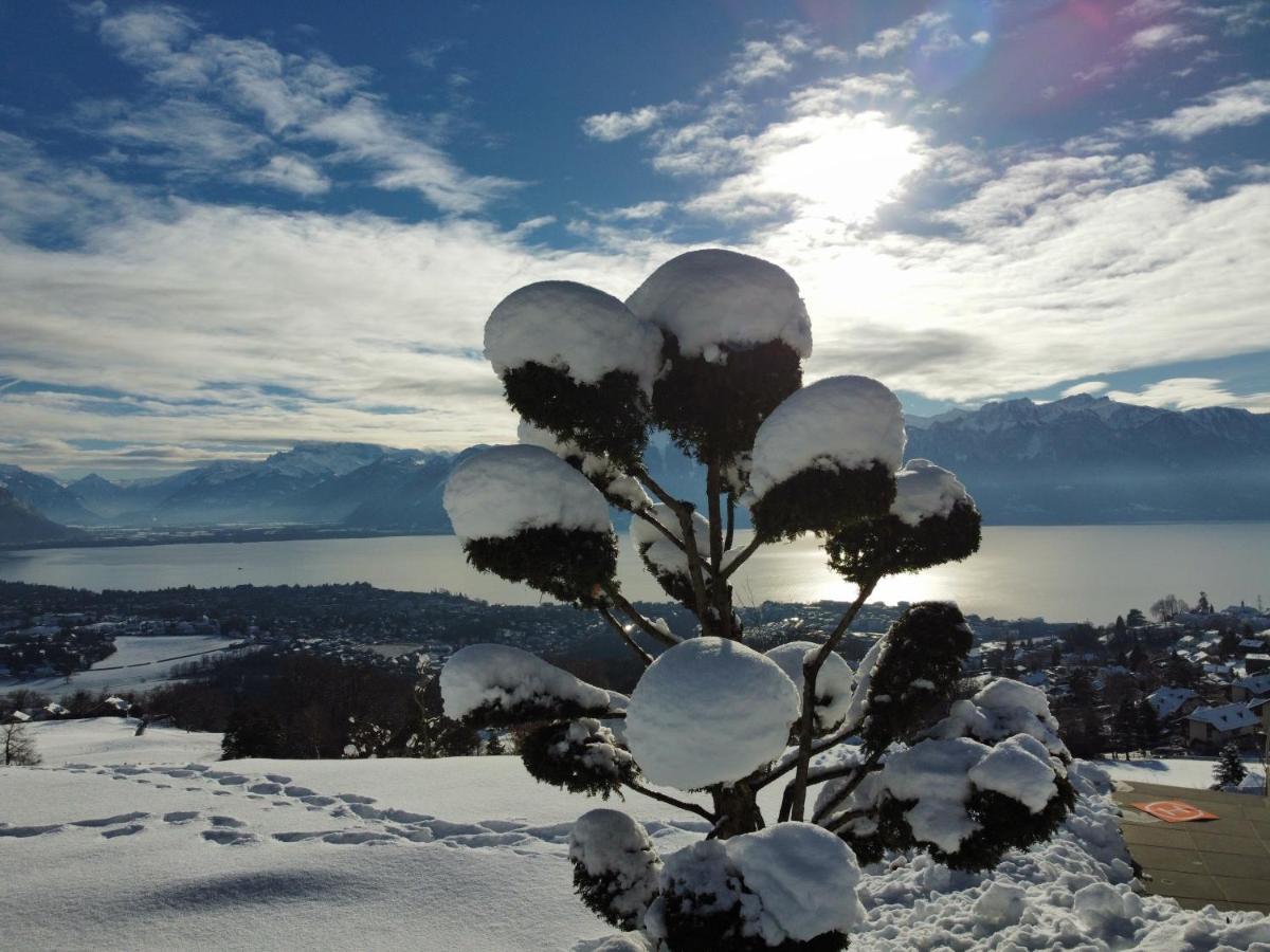 Appartement Moderne Avec Vue Panoramique A Jongny Proche De Montreux Eksteriør bilde